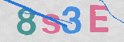 画像に表示された文字を入力して下さい