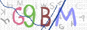 画像に表示された文字を入力して下さい