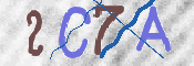 画像に表示された文字を入力して下さい