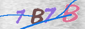 画像に表示された文字を入力して下さい