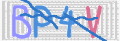画像に表示された文字を入力して下さい