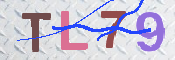 画像に表示された文字を入力して下さい