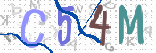 画像に表示された文字を入力して下さい