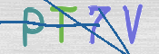 画像に表示された文字を入力して下さい