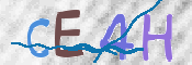 画像に表示された文字を入力して下さい