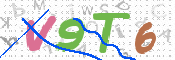 画像に表示された文字を入力して下さい