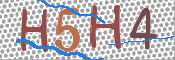 画像に表示された文字を入力して下さい