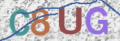 画像に表示された文字を入力して下さい