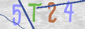 画像に表示された文字を入力して下さい