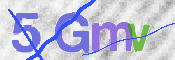 画像に表示された文字を入力して下さい