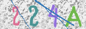 画像に表示された文字を入力して下さい