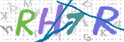画像に表示された文字を入力して下さい
