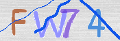 画像に表示された文字を入力して下さい