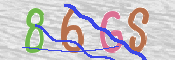 画像に表示された文字を入力して下さい