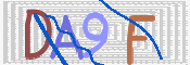画像に表示された文字を入力して下さい