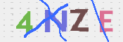 画像に表示された文字を入力して下さい