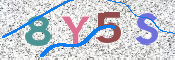 画像に表示された文字を入力して下さい