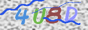 画像に表示された文字を入力して下さい