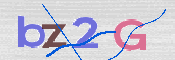 画像に表示された文字を入力して下さい