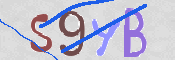画像に表示された文字を入力して下さい