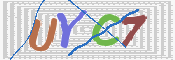 画像に表示された文字を入力して下さい