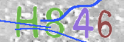 画像に表示された文字を入力して下さい