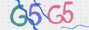 画像に表示された文字を入力して下さい