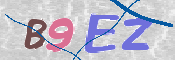 画像に表示された文字を入力して下さい