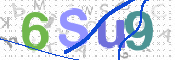 画像に表示された文字を入力して下さい