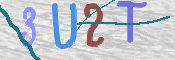 画像に表示された文字を入力して下さい