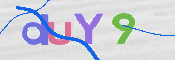 画像に表示された文字を入力して下さい