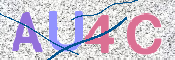 画像に表示された文字を入力して下さい