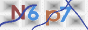 画像に表示された文字を入力して下さい