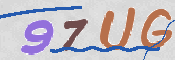 画像に表示された文字を入力して下さい