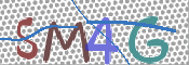 画像に表示された文字を入力して下さい