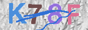 画像に表示された文字を入力して下さい