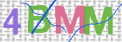 画像に表示された文字を入力して下さい