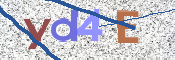 画像に表示された文字を入力して下さい