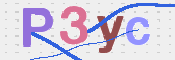 画像に表示された文字を入力して下さい