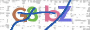 画像に表示された文字を入力して下さい