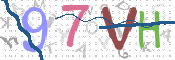 画像に表示された文字を入力して下さい