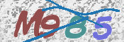 画像に表示された文字を入力して下さい