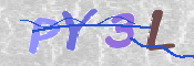 画像に表示された文字を入力して下さい