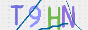 画像に表示された文字を入力して下さい