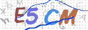 画像に表示された文字を入力して下さい