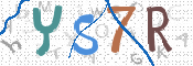 画像に表示された文字を入力して下さい