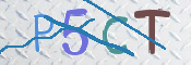 画像に表示された文字を入力して下さい