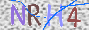 画像に表示された文字を入力して下さい
