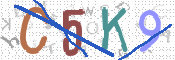 画像に表示された文字を入力して下さい