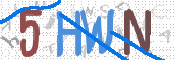 画像に表示された文字を入力して下さい